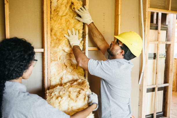 Best Fiberglass Insulation  in Wescosville, PA