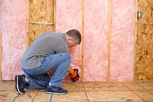 Insulation Repair Services in Wescosville, PA